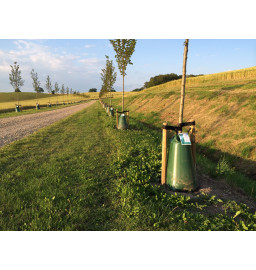 Tree King Wassersack für Baumbewässerung