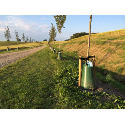 Tree King Wassersack für Baumbewässerung