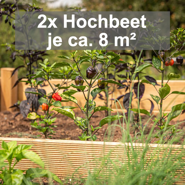Bewässerungsset Hochbeet 8 m² quadratisch.jpg