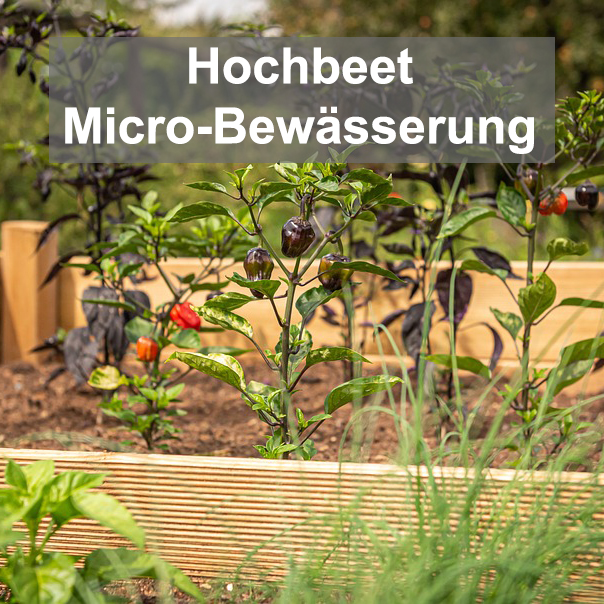 Bewässerungsset Hochbeet Micro-Bewässerung.jpg